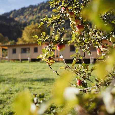 Pinjola Villa Vandans Kültér fotó