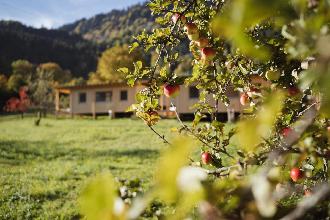 Pinjola Villa Vandans Kültér fotó